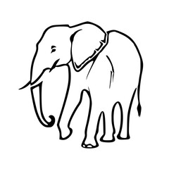 elephant vector illustration
