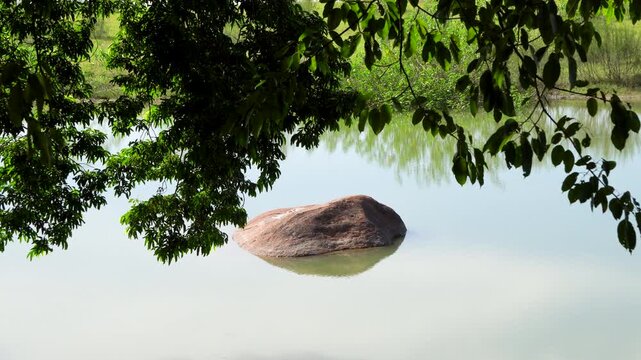 Unique Turtle shell like rock submerged in the water