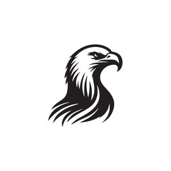 Obraz premium eagle vector illustration