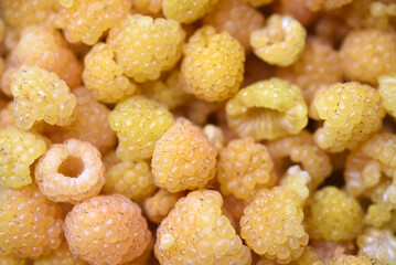 Yellow raspberries in close-up. Juicy sweet yellow berries.