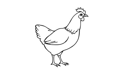 Vector illustration of a domestic hen and chicken, isolated white background