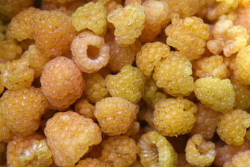 Yellow raspberries in close-up. Juicy sweet yellow berries.