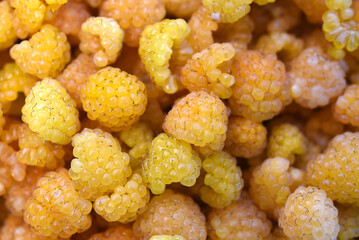 Yellow raspberries in close-up. Juicy sweet yellow berries.