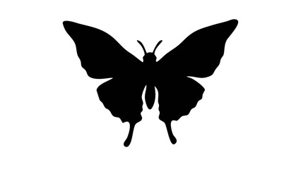 Silhouette of a butterfly with detailed wings and antennae displayed against a white background design element
