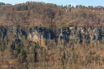 Rocky cliff face in forested landscape with sparse winter foliage