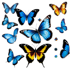 Collection of vibrant blue and orange butterflies with intricate wing patterns isolated on transparent background