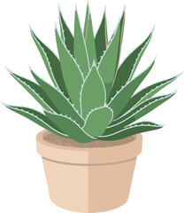A detailed illustration of an aloe vera plant in a terracotta pot.