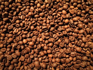 roasted coffee beans