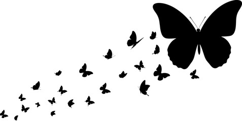 Butterfly silhouette vector graphic design element for creative projects