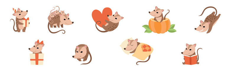 Cute Opossum Animal with Tail in Various Pose Vector Set