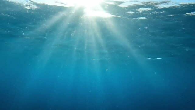 Sunlight rays underwater in crystal clear ocean.