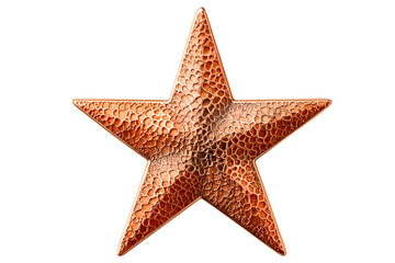 red star christmas decoration
