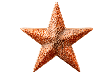 red star christmas decoration