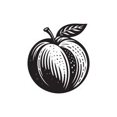 Peach Vector 1 (1).eps