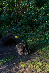 an axe stuck in a log in a forest park