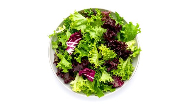 Fresh mixed greens salad