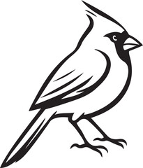 Cardinal bird silhouette on white background, Black bird profile vector design