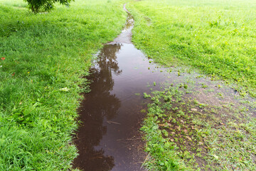 Water Puddle In Green Meadow After Rain Nature Reflections