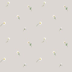Seamless watercolor pattern with single small daisies repeating on grey background. Plant design for textiles, wallpapers, cards and packaging.