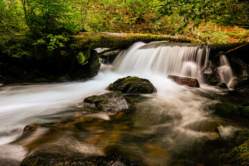 Cold Spring Creek, Oregon, trail, Mount Hood, Mt