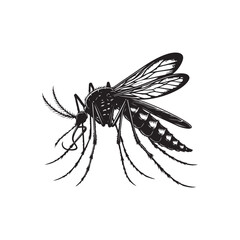 Mosquito Vector (2).eps