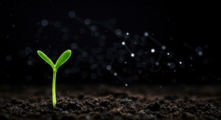 Sprout emerging from dark soil, surrounded by ethereal connections