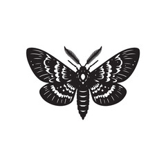 Moth Vector (2).eps
