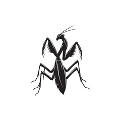 Praying Mantis Vector (1).eps