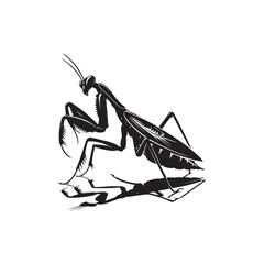 Praying Mantis Vector (3).eps