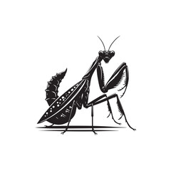 Praying Mantis Vector (4).eps