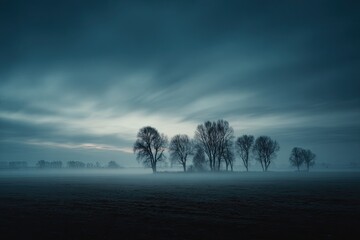 A misty field at dawn, silhouetted trees