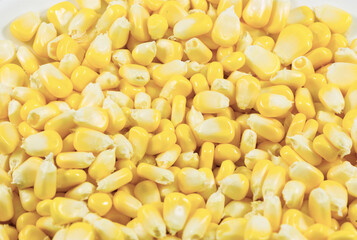 Organic Raw Yellow Corn Kernels