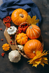 Autumn composition for Thanksgiving Day, still life background. Pumpkin harvest in basket, vegetables, patissons, autumn leaves, red berries on wooden table. Fall decoration design. Top view, flat lay