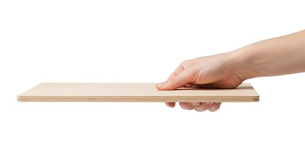 Plywood Board Holding in Hand Isolated