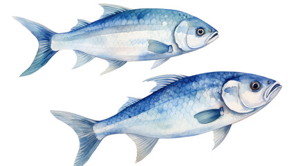 Fresh raw fish with detailed scales isolated on white background
