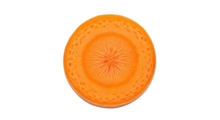 Isolated Slice of Carrot