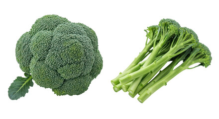 Isolated Broccoli
