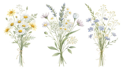 Fototapeta premium Three delicate watercolor bouquets of wildflowers and daisies tied with twine isolated on transparent background