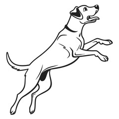 Draw a dog jumping, using only simple, bold black strokes