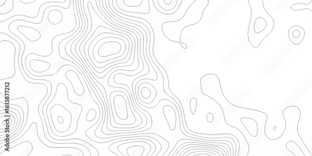 Poster abstract topographic white wave paper curved reliefs. topographic map patterns, topography line map.