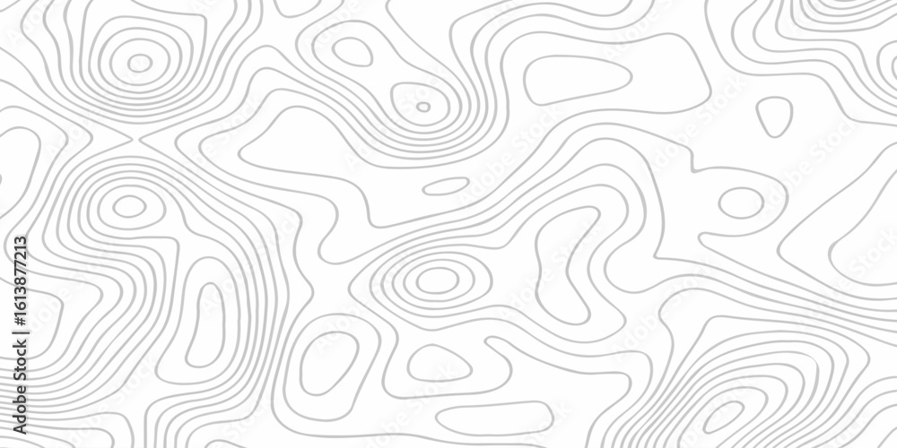 Poster abstract topographic white wave paper curved reliefs. topographic map patterns, topography line map.