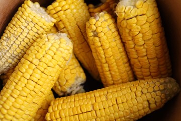 Boiled corn preparation in a cozy kitchen setting