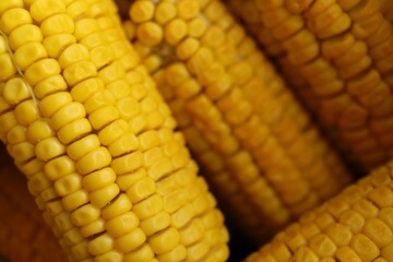 Tasty boiled corn prepared fresh at the local market
