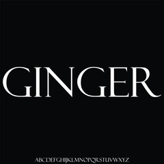 Elegance minimalist serif alphabet display font vector for branding design