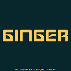 Elegance minimalist serif alphabet display font vector for branding design