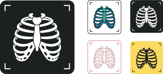 Rib cage anatomy medical illustration vector graphics