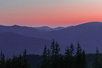 Silhouettes of mountains and tall spruces against the background of a colorful sky after sunset