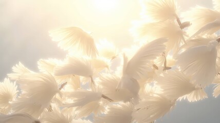 White Feather and Wing Collection - Pure Elegance and Natural Beauty
