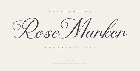 Signature Elegant Branding Typeface. Handwritten Script Editable Text Effect Template . vector illustration 
