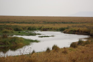 landscape with river